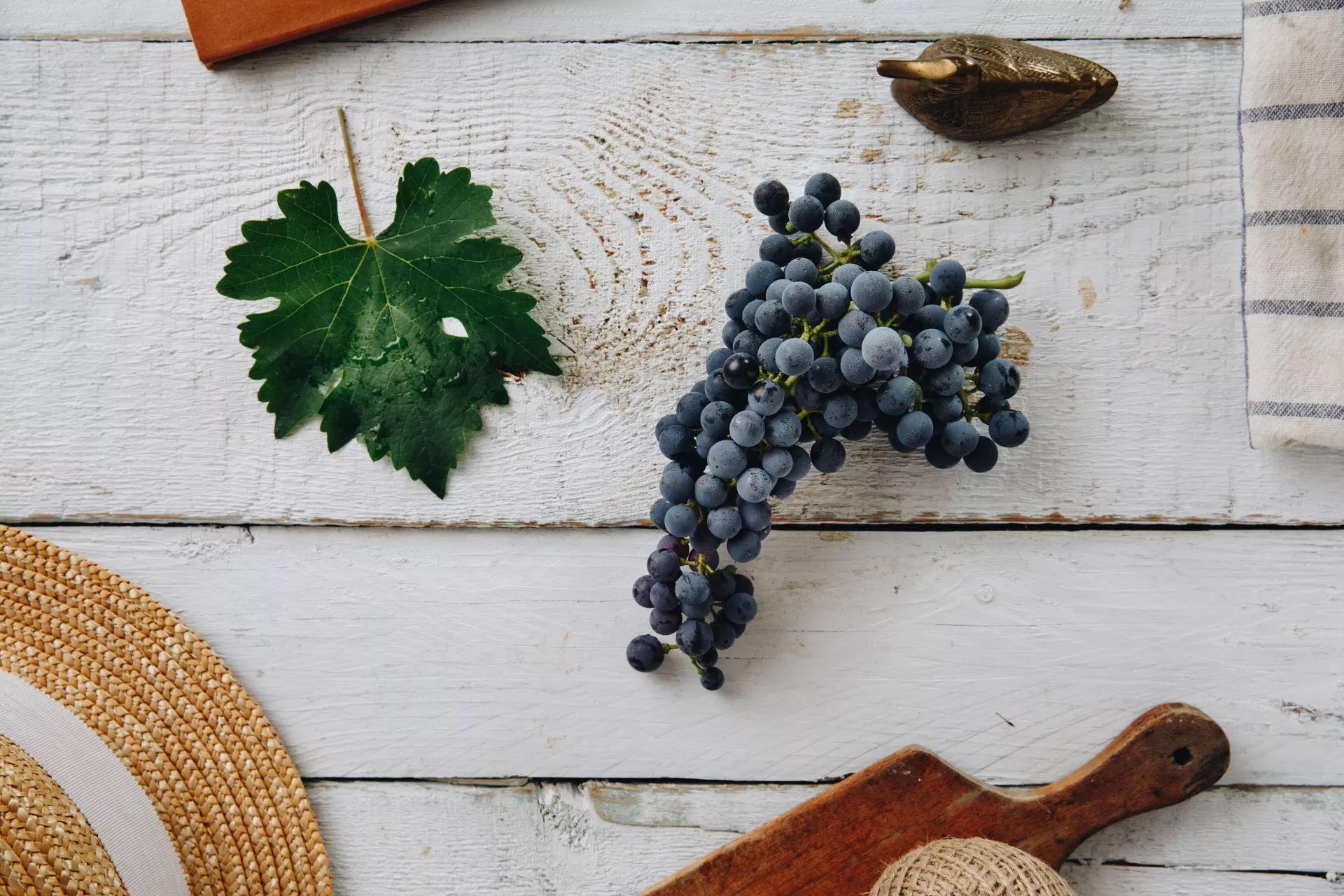 Cabernet Sauvignon 卡本內蘇維濃 粉紅酒