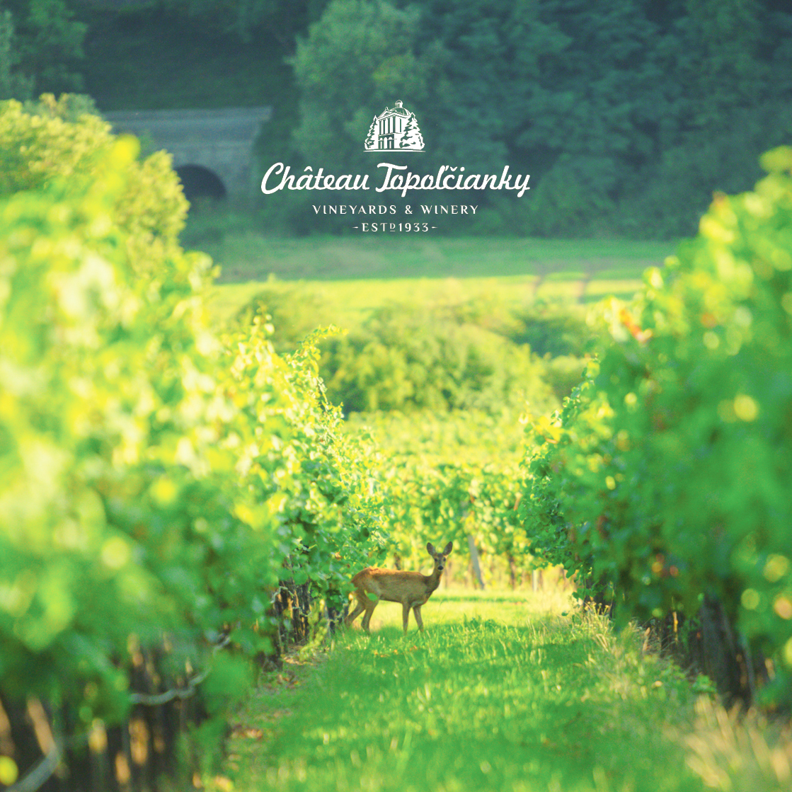 Muskat Moravsky  白酒