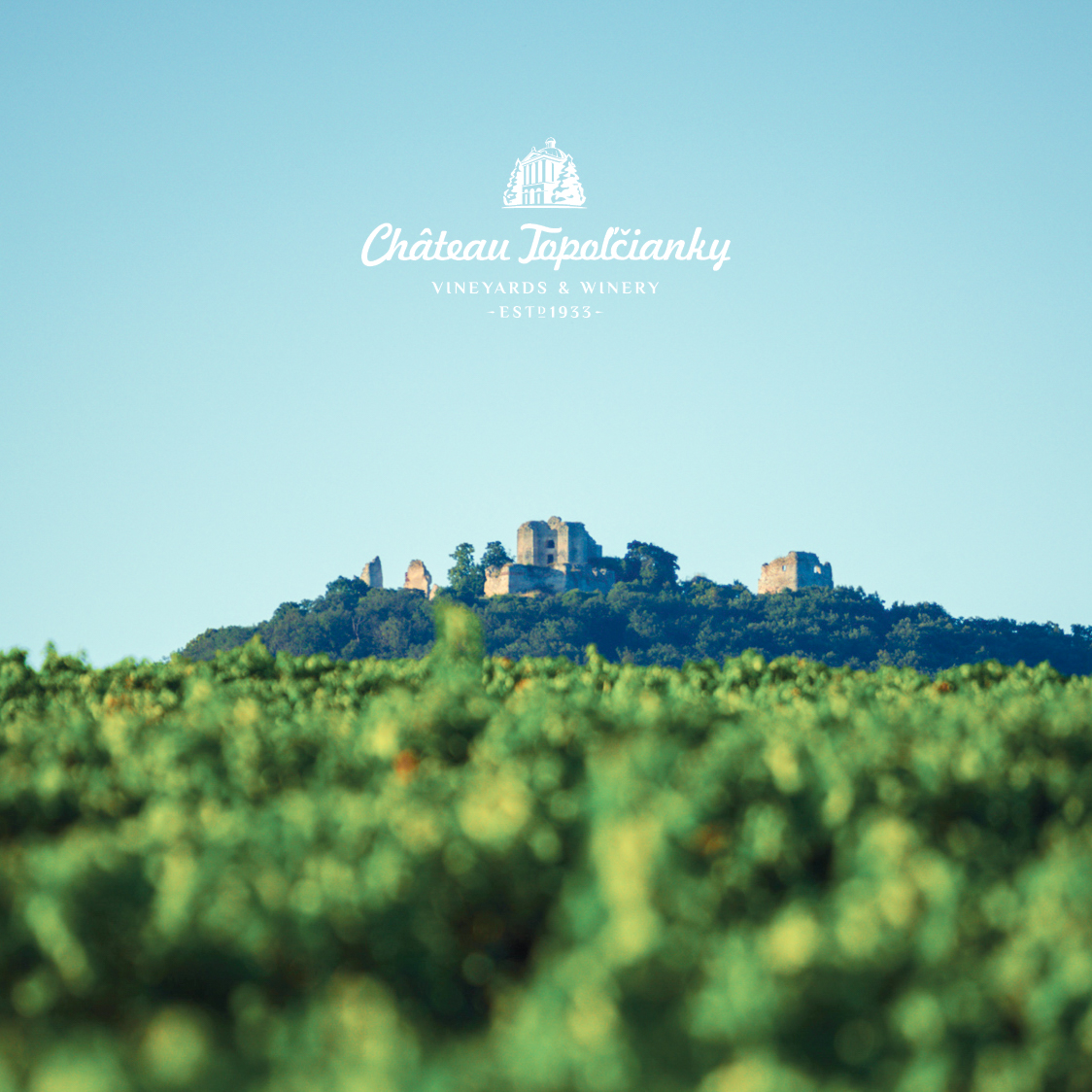 Palava 帕拉瓦 晚摘甜白酒 斯洛伐克特有品種